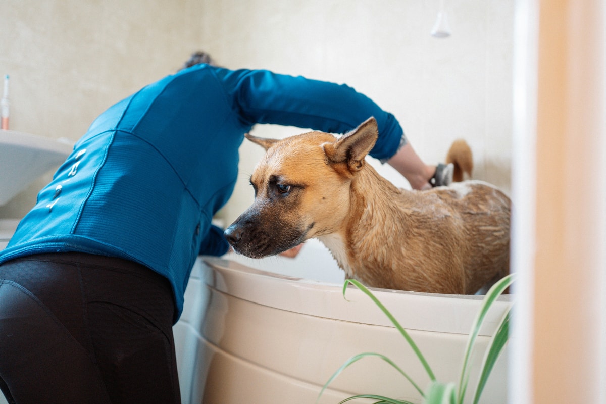 Titelbild_Aqua.jpg