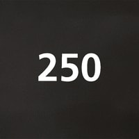 Schwarz_250.jpg